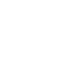 Professional Services